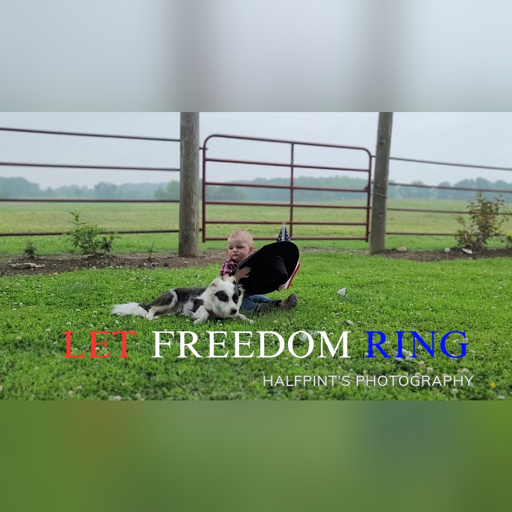 Free Shipping Plus Givaway Item - Picture 9 of 13